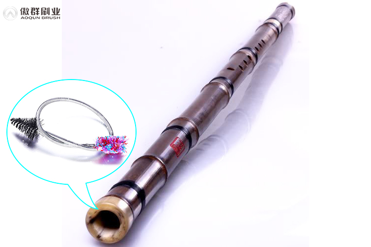 How To Remove Mold In Wind Instrument? AOQUN