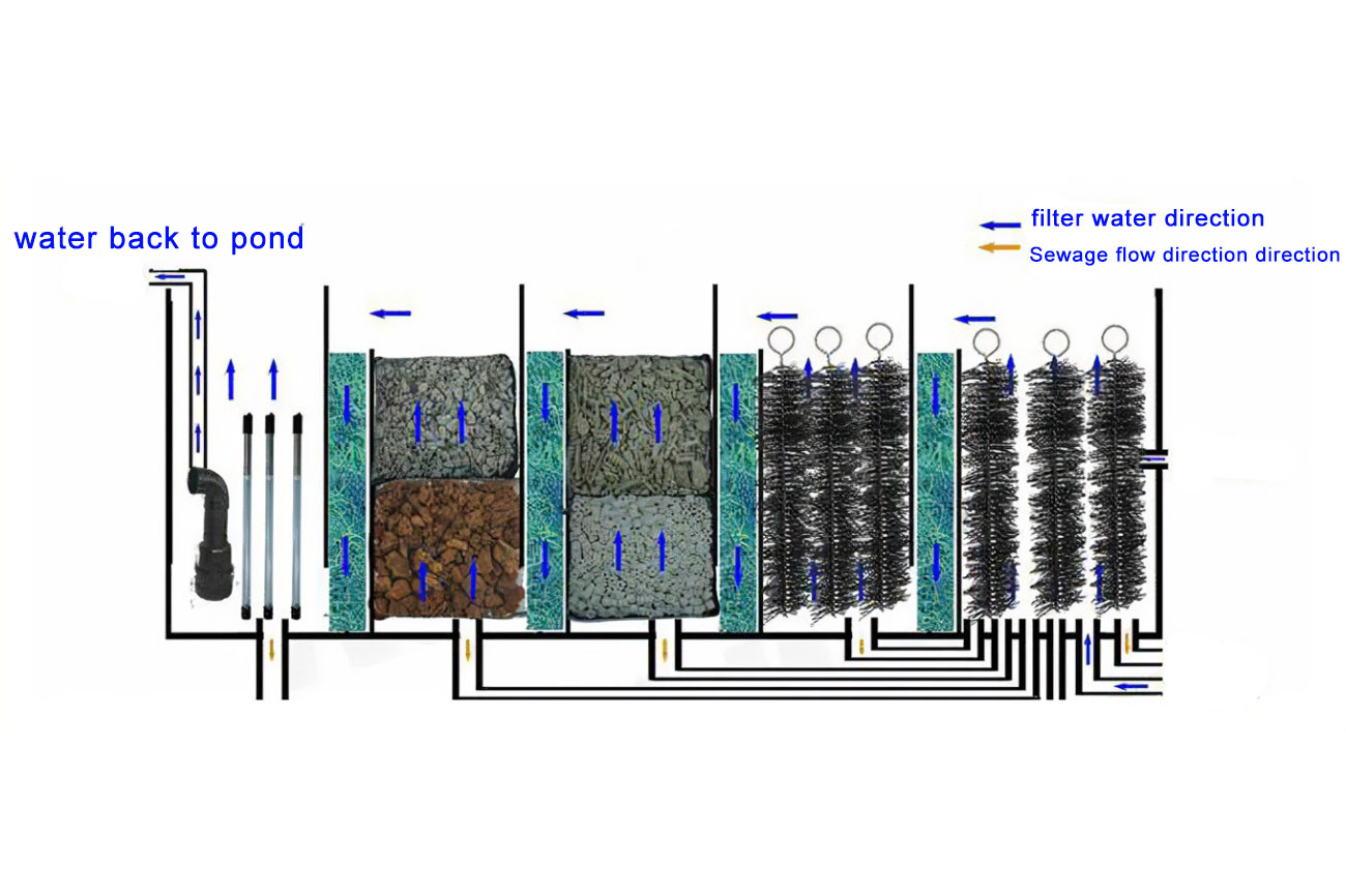 How Many Common Fish Pond Filters Are There？